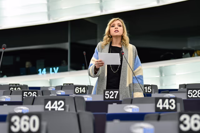 EP Plenary session - Council and Commission statements - Improving the socio-economic situation of farmers and rural areas, ensuring fair incomes, food security as well as a just transition