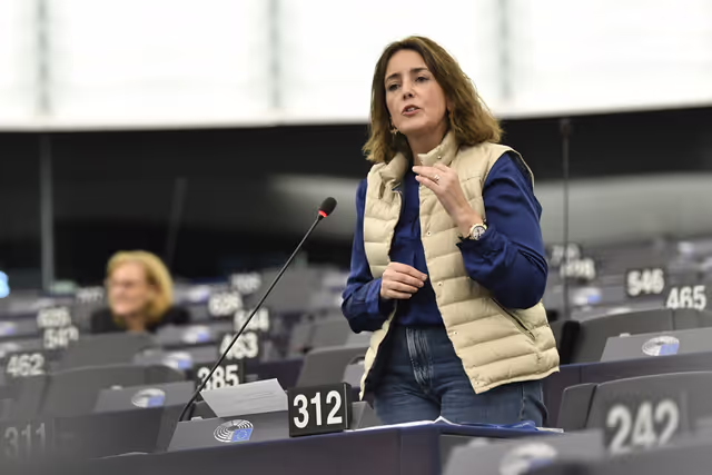 EP Plenary session - Council and Commission statements - Improving the socio-economic situation of farmers and rural areas, ensuring fair incomes, food security as well as a just transition
