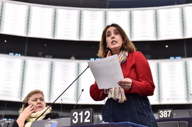 Fotografie 6: EP Plenary session - Commission statement - Recent ecological catastrophe involving plastic pellet losses and its impact on micro plastic pollution in the maritime and coastal habitats