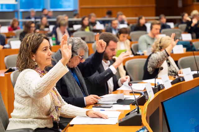 PECH Committee - Vote