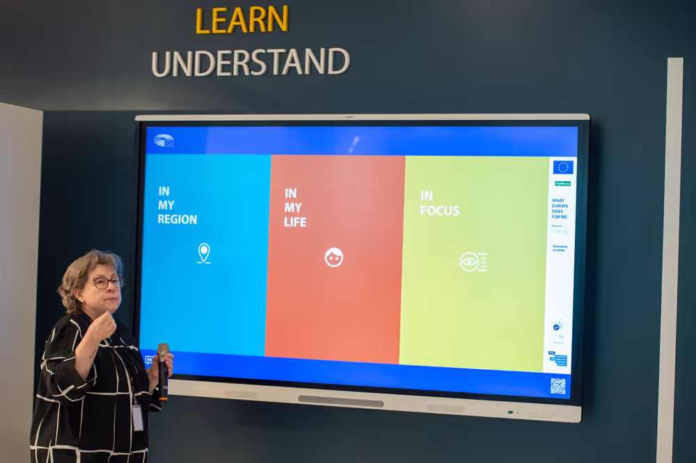 EPRS Policy Talks - What the EU is doing on critical raw materials?