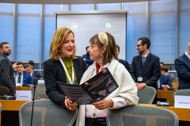 Foto 35: IV High-Level Seminar Foundation Euroamerica - DLAT