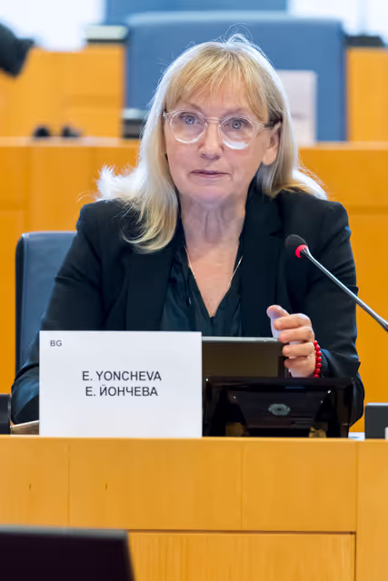 Fotografija 4: Speech by Roberta METSOLA, EP President at Asylum Contact Group