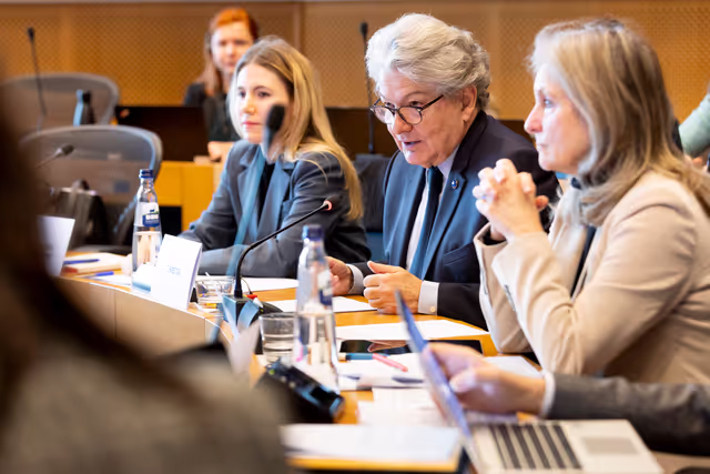 Foto 14: IMCO trilogue on Single Market Emergency Instrument (SMEI)