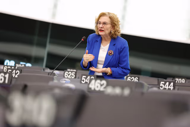 Photo 5: EP Plenary session - Commission statement - State of the EU solar industry in the light of unfair competition