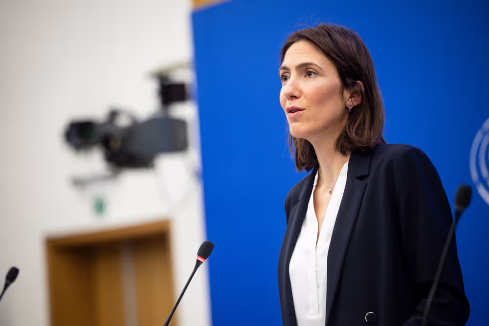 Press briefing Renew Europe