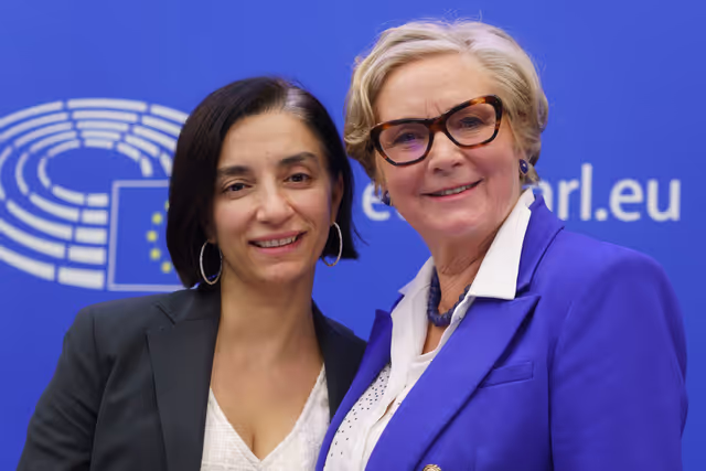 Photo 1: Press conference Chair on Violence against women