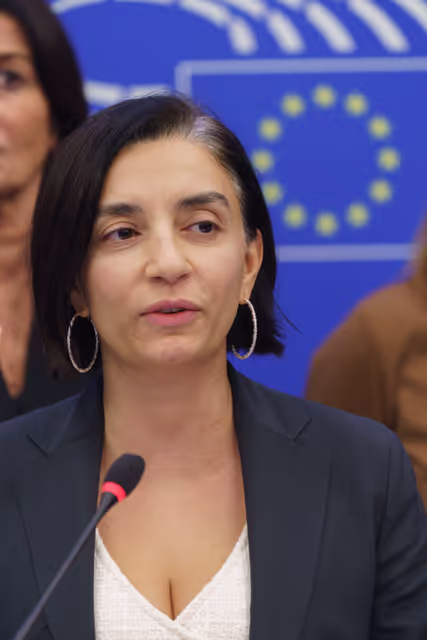 Photo 17: Press conference Chair on Violence against women