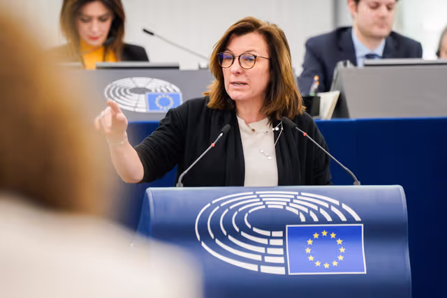 Photo 35: EP Plenary session - Council and Commission statements - Empowering farmers and rural communities - a dialogue towards sustainable and fairly rewarded EU agriculture
