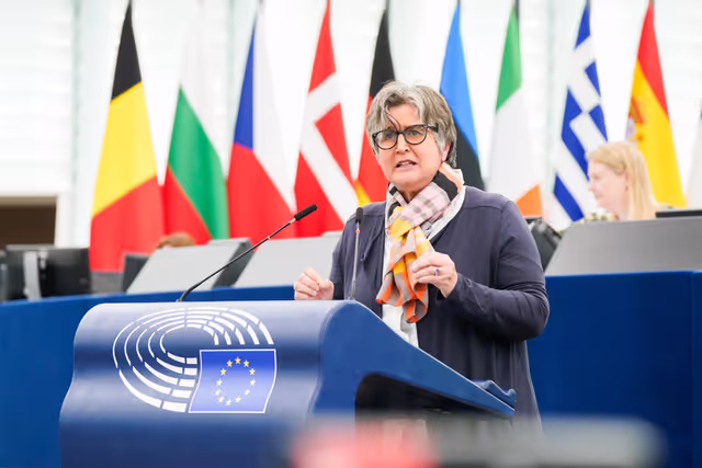 Photo 31: EP Plenary session - Council and Commission statements - Empowering farmers and rural communities - a dialogue towards sustainable and fairly rewarded EU agriculture