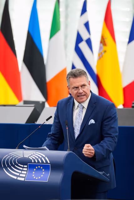 Photo 5: EP Plenary session - Council and Commission statements - Empowering farmers and rural communities - a dialogue towards sustainable and fairly rewarded EU agriculture