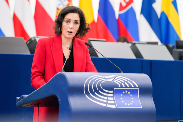 Photo 3: EP Plenary session - Council and Commission statements - Empowering farmers and rural communities - a dialogue towards sustainable and fairly rewarded EU agriculture