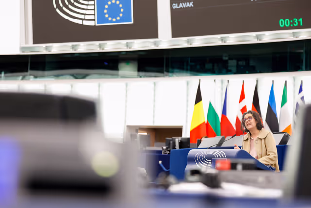 Photo 11: EP Plenary session - Automated data exchange for police cooperation (“Prüm II”)