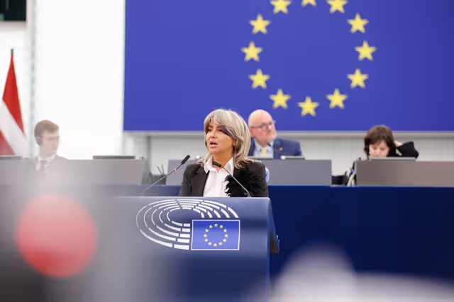 Photo 8: EP Plenary session - Automated data exchange for police cooperation (“Prüm II”)