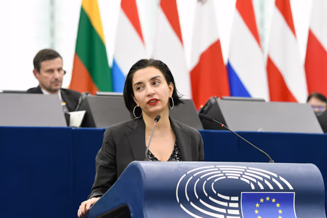 Foto 9: EP Plenary session - Implementation report on the EU LGBTIQ Equality Strategy 2020-2025