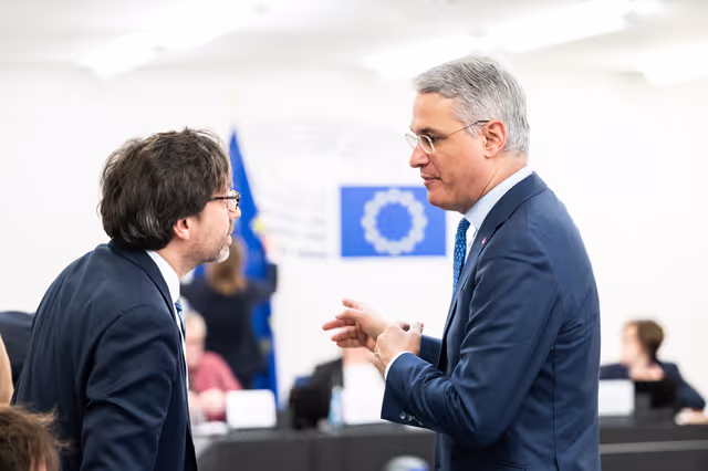 Fotografia 22: EMPL - Final trilogue on disability card