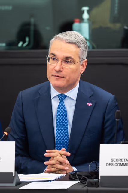 Fotografia 17: EMPL - Final trilogue on disability card