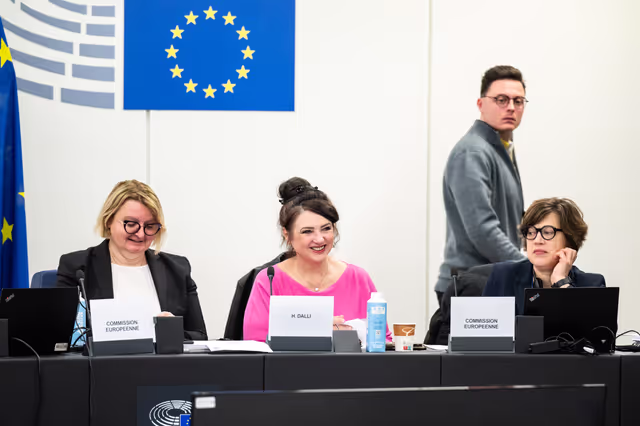 Fotografia 11: EMPL - Final trilogue on disability card