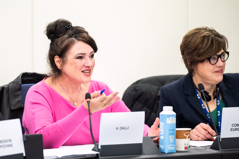 EMPL - Final trilogue on disability card