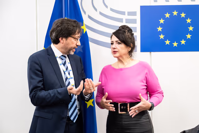 Fotografia 36: EMPL - Final trilogue on disability card