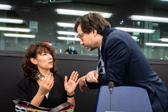 Fotografia 34: EMPL - Final trilogue on disability card