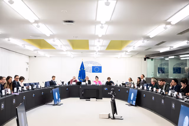 Fotografia 12: EMPL - Final trilogue on disability card