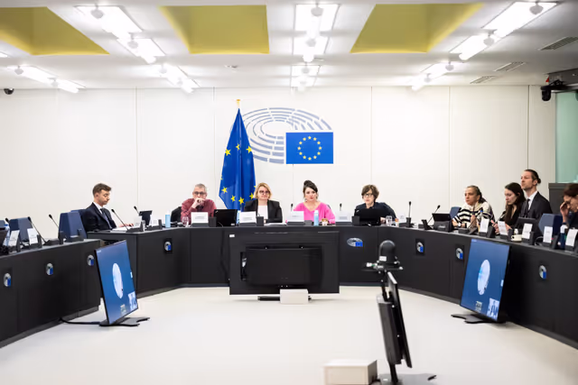 Fotografia 16: EMPL - Final trilogue on disability card