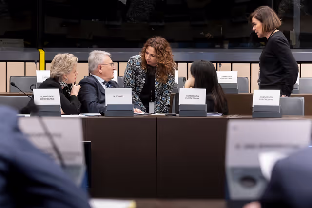 Fotografija 25: EMPL - Trilogue on platform work