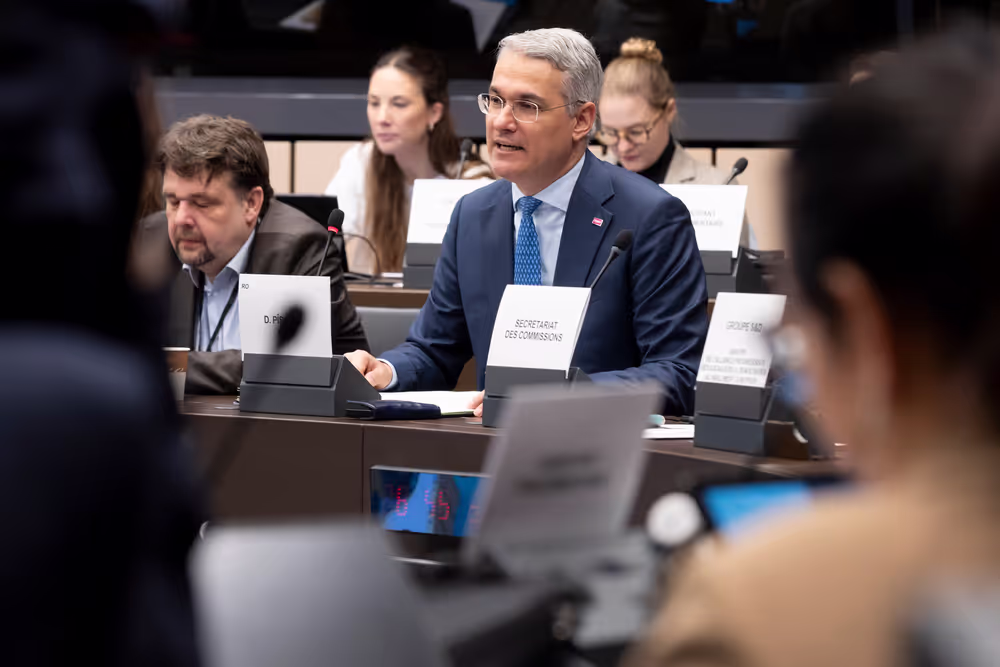 EMPL - Trilogue on platform work