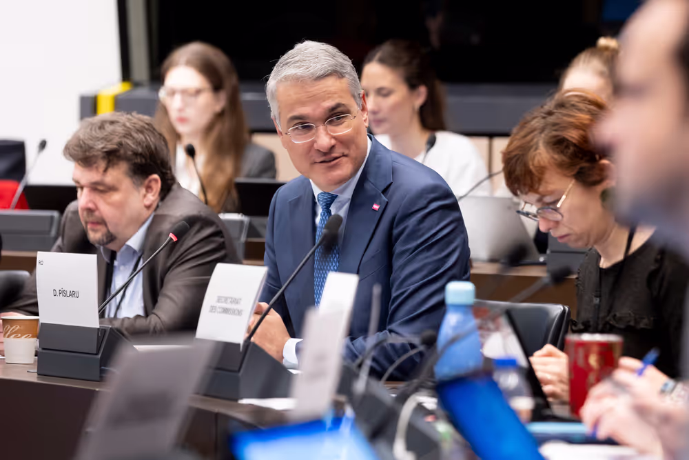 EMPL - Trilogue on platform work