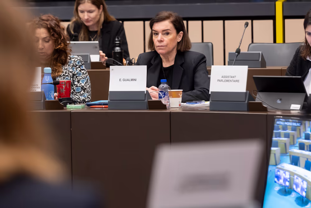 EMPL - Trilogue on platform work