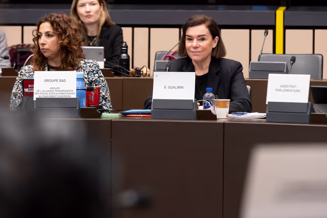 Fotografija 5: EMPL - Trilogue on platform work