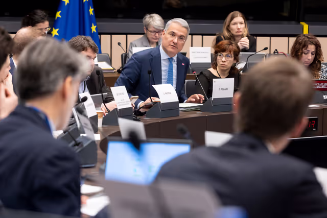 Fotografija 3: EMPL - Trilogue on platform work