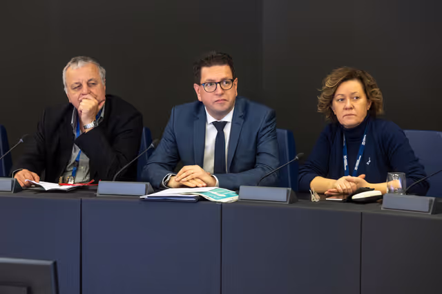 Minority Intergroup meeting