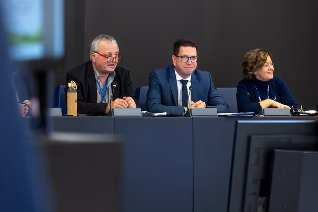 Minority Intergroup meeting