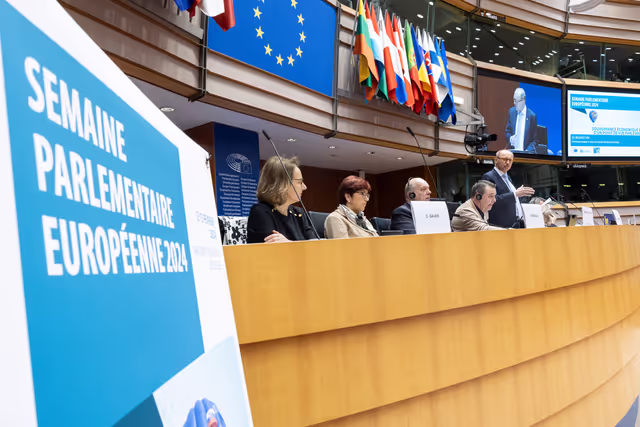 European Parliamentary Week - EU Economic Governance From a Parliamentary Perspective - Plenary session I