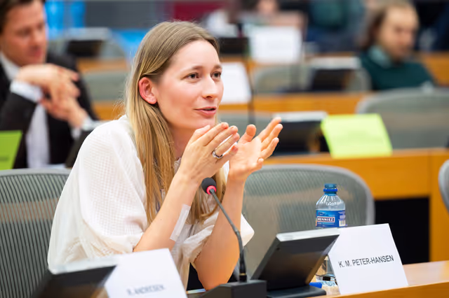 Φωτογραφία 15: FISC subcommittee meeting