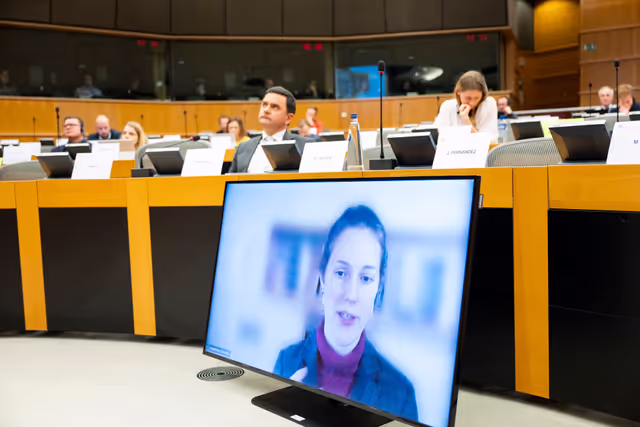 Φωτογραφία 30: FISC subcommittee meeting