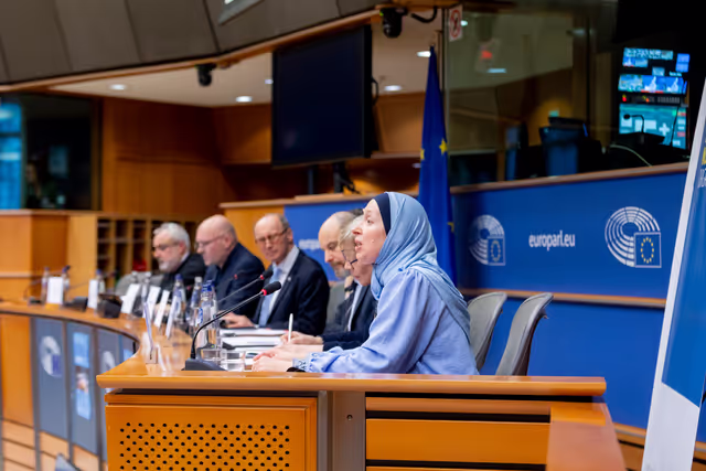 Photo 18: Article 17 TFEU - The importance of the Article 17 dialogue for raising awareness against disinformation and foreign interference as well as for achieving a high turnout at the European elections