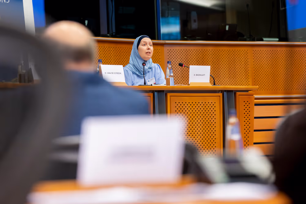 Article 17 TFEU - The importance of the Article 17 dialogue for raising awareness against disinformation and foreign interference as well as for achieving a high turnout at the European elections