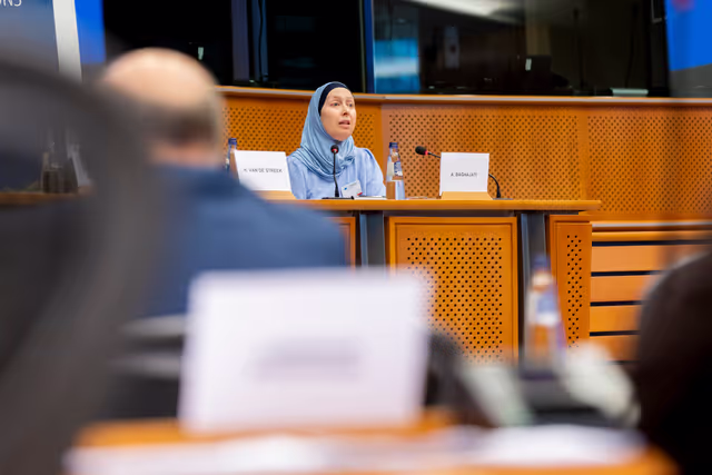 Photo 16: Article 17 TFEU - The importance of the Article 17 dialogue for raising awareness against disinformation and foreign interference as well as for achieving a high turnout at the European elections
