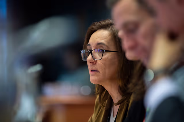 Photo 8: AFET - Exchange of views on the recent allegations against UNWRA staff and the impact on the humanitarian situation in Gaza