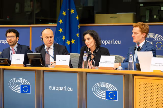 Φωτογραφία 3: AFCO - Presentation of the priorities of the Belgian Presidency