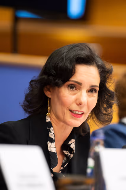 Φωτογραφία 17: AFCO - Presentation of the priorities of the Belgian Presidency