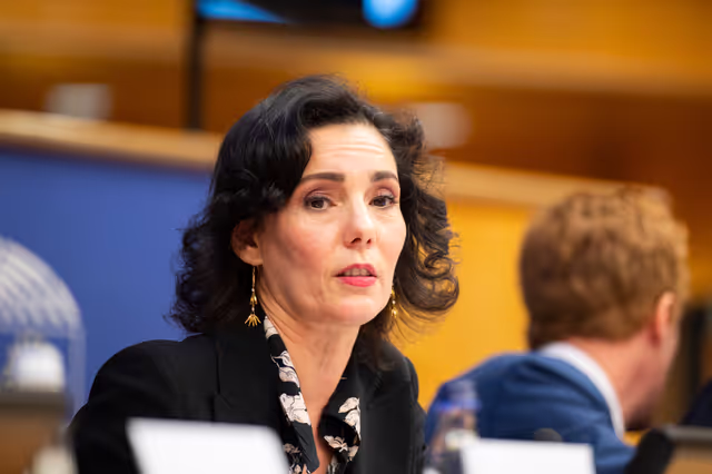 Φωτογραφία 18: AFCO - Presentation of the priorities of the Belgian Presidency