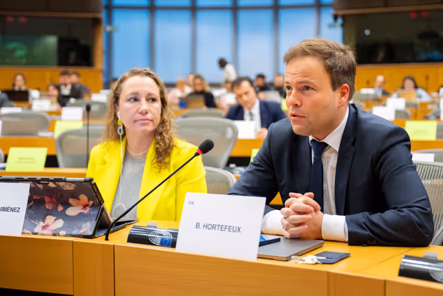 Φωτογραφία 11: AFCO - Presentation of the priorities of the Belgian Presidency