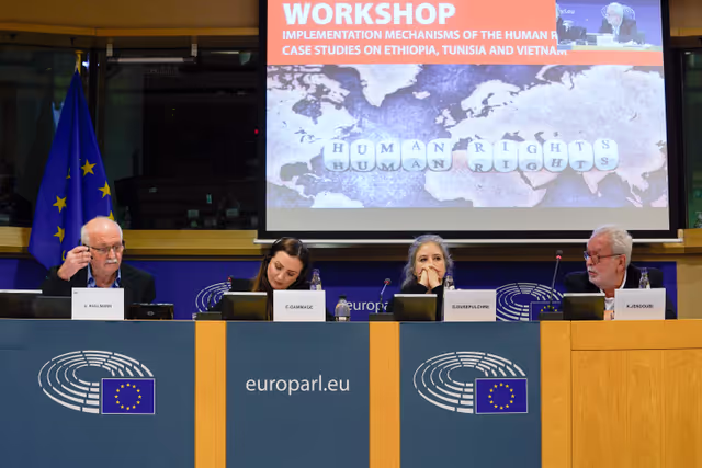 Nuotrauka 10: DROI workshop on ' Implementation mechanisms of the Human Rights Clause. Case studies on Ethiopia, Tunisia and Vietnam '