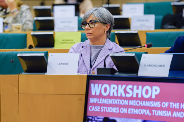 Nuotrauka 2: DROI workshop on ' Implementation mechanisms of the Human Rights Clause. Case studies on Ethiopia, Tunisia and Vietnam '