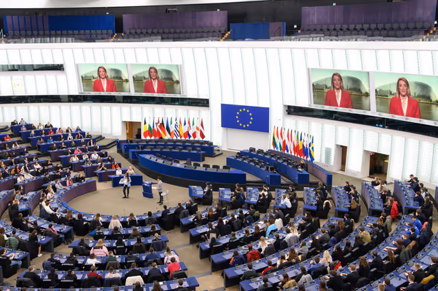 Φωτογραφία 18: Euroscola