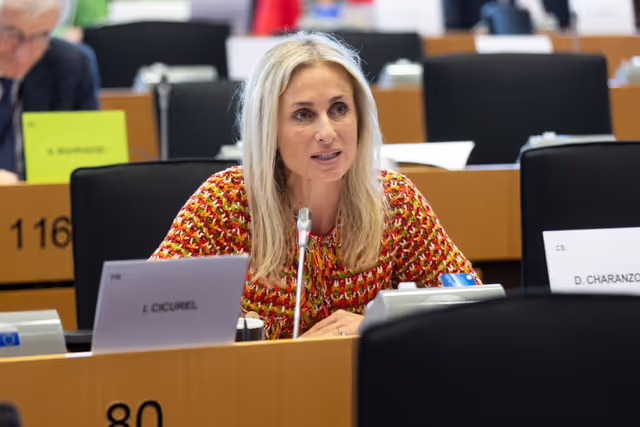 Foto 23: IMCO - Report on the Future of the Single Market